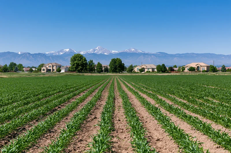 Rows of green crops stretching toward distant snow-capped mountains with suburban homes in the midground