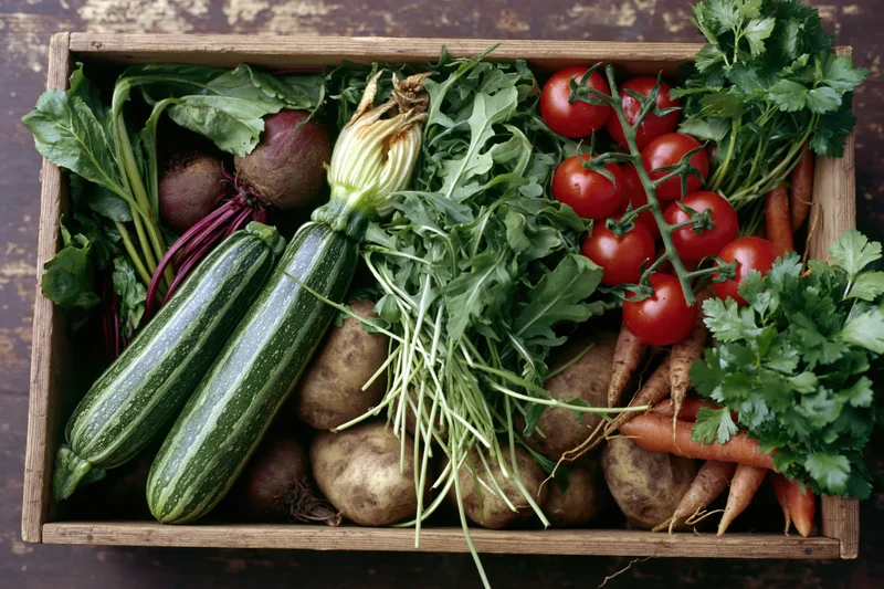 Wooden crate filled with freshly harvested vegetables arranged in rows on a dark surface