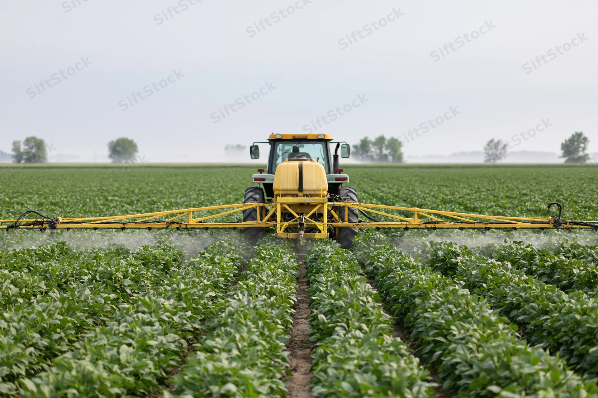 Yellow tractor spraying pesticide on soybean field with extended boom