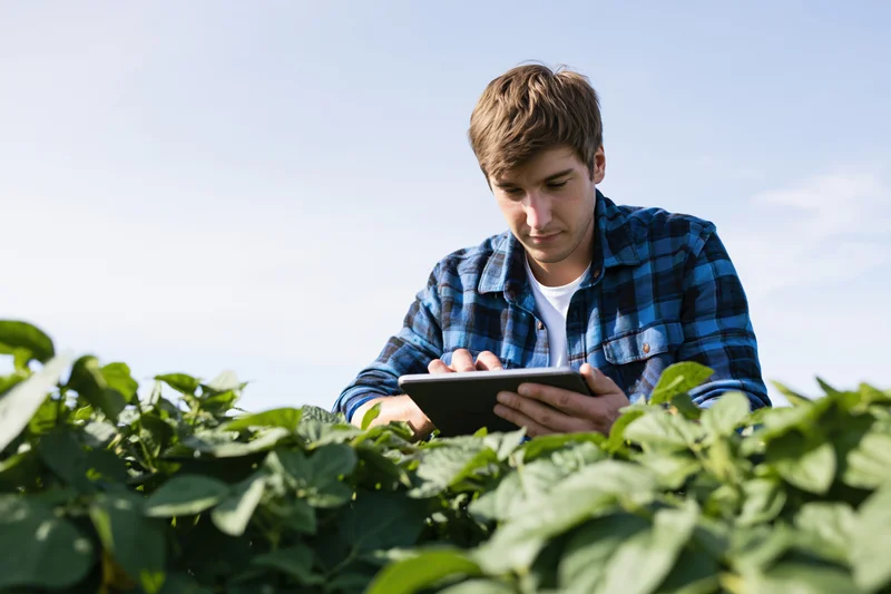 Young male farmer using tablet to inspect crops in a green field