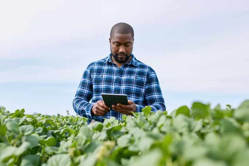 Young black male farmer using tablet to monitor crop growth in a soybean field