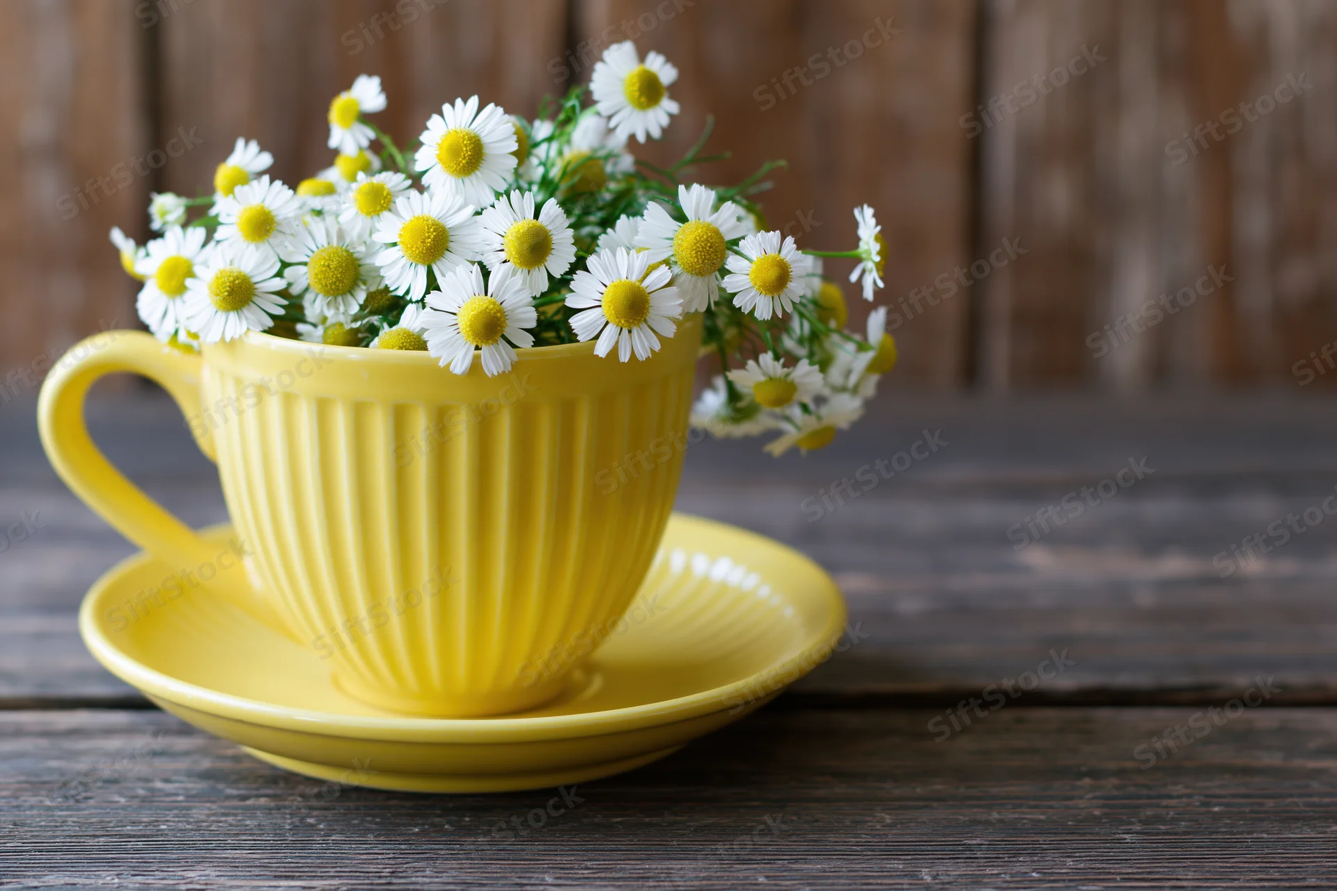 Yellow ceramic cup and saucer filled with chamomile flowers on a dark wooden table