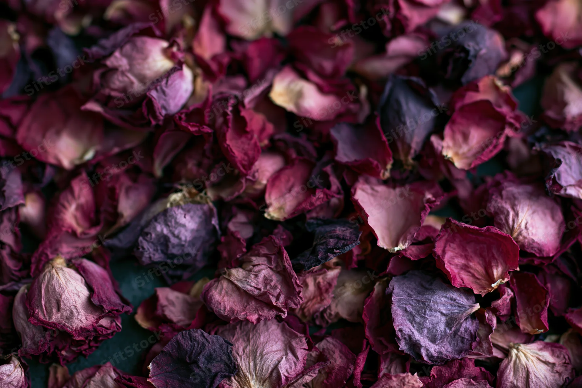 Dried rose petals densely clustered filling the frame
