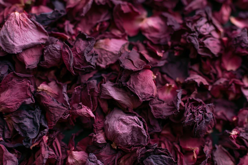 Dense cluster of dried rose petals filling the frame