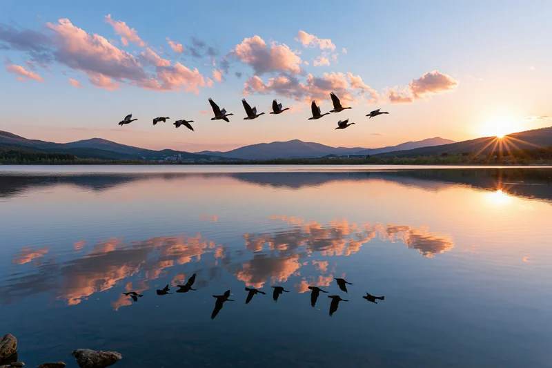 Flock of birds in flight over calm lake at sunset with mountain backdrop and sky reflection