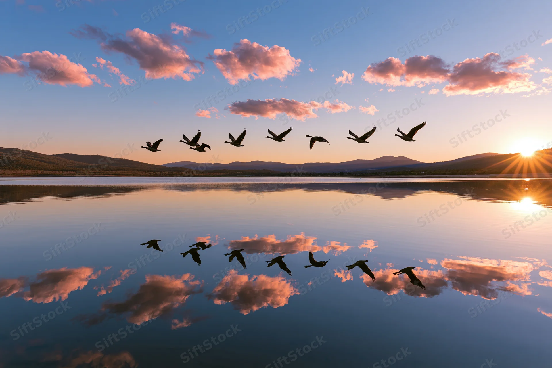 Flock of birds flying in formation over calm lake at sunset with mountain backdrop and cloud reflections in water