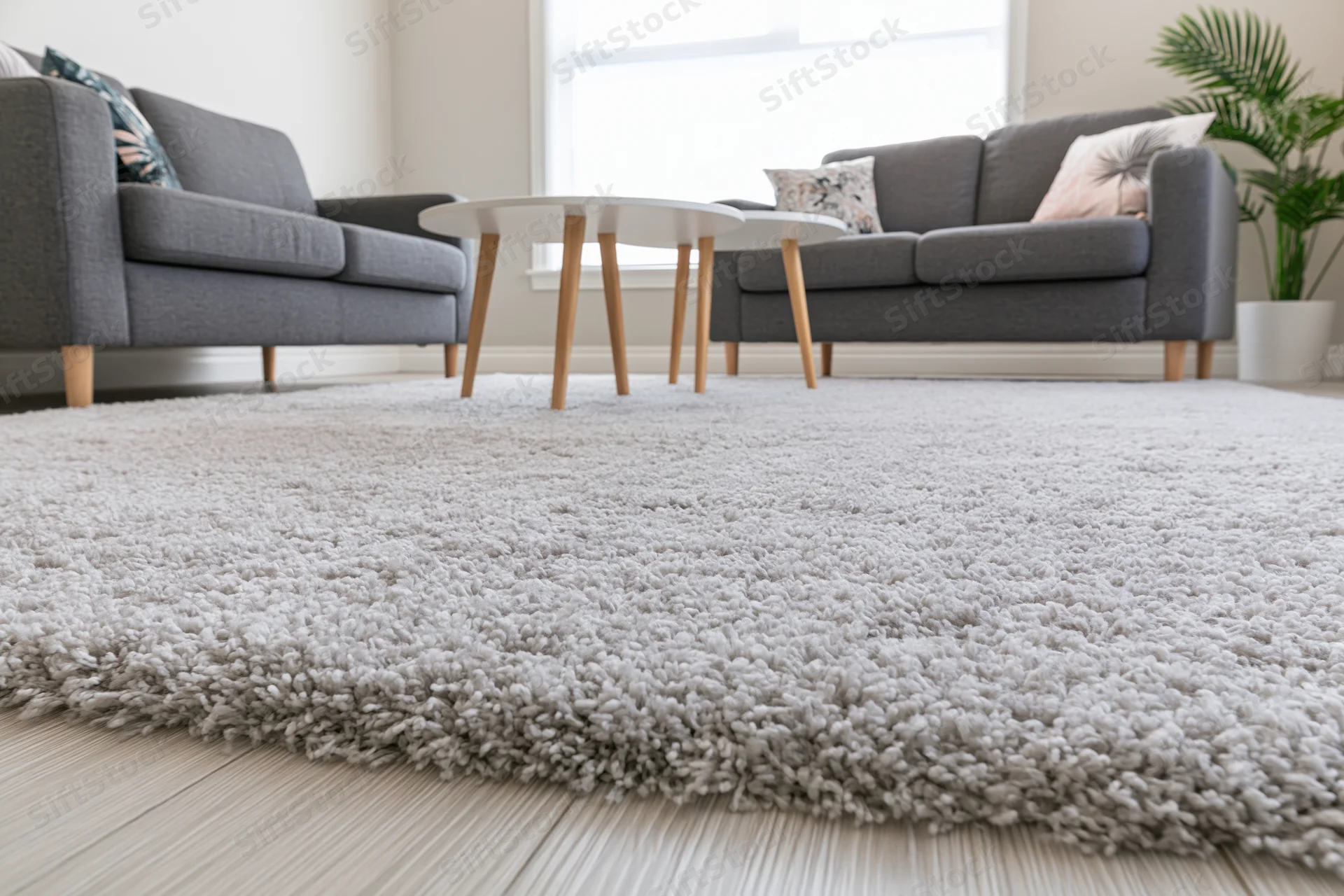 Large light grey shaggy rug covering floor in living room with grey sofas and coffee tables