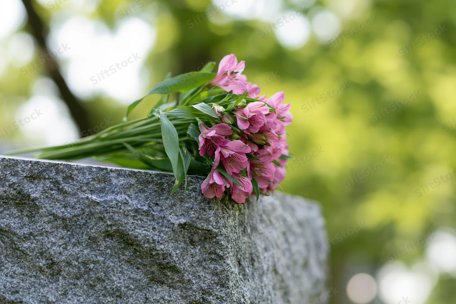 Small bouquet of pink alstroemeria flowers resting on a stone grave marker in a cemetery
