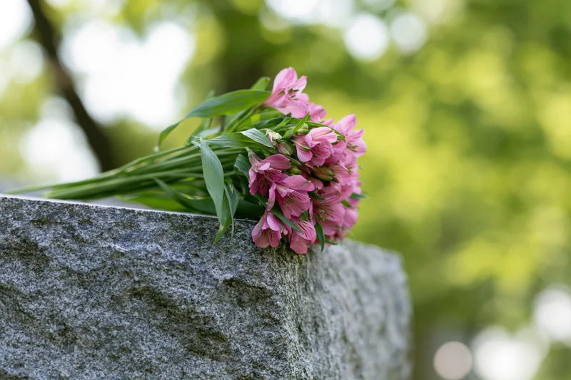 Small bouquet of pink alstroemeria flowers resting on a stone grave marker in a cemetery