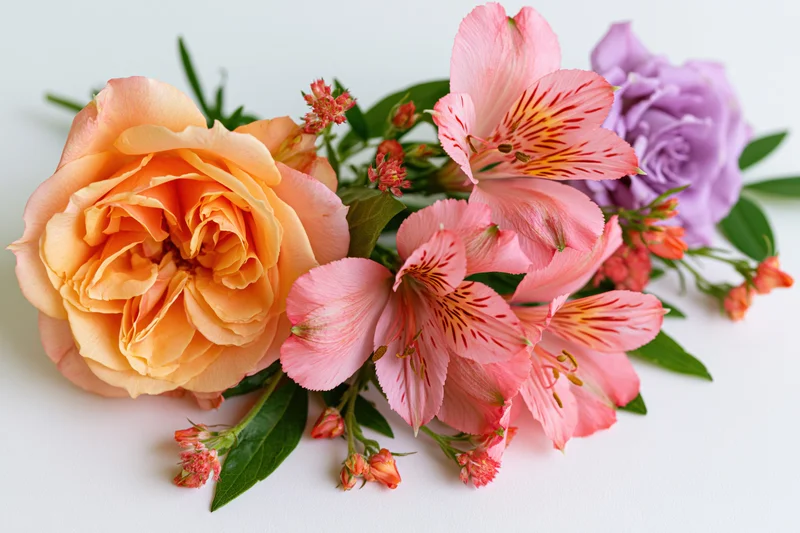 Curved floral arrangement with peach rose, pink alstroemeria, and purple rose lying flat on white surface