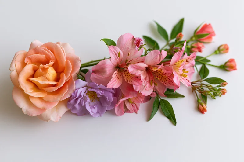 Curved floral arrangement lying flat on white background with roses, alstroemeria, and lavender blooms