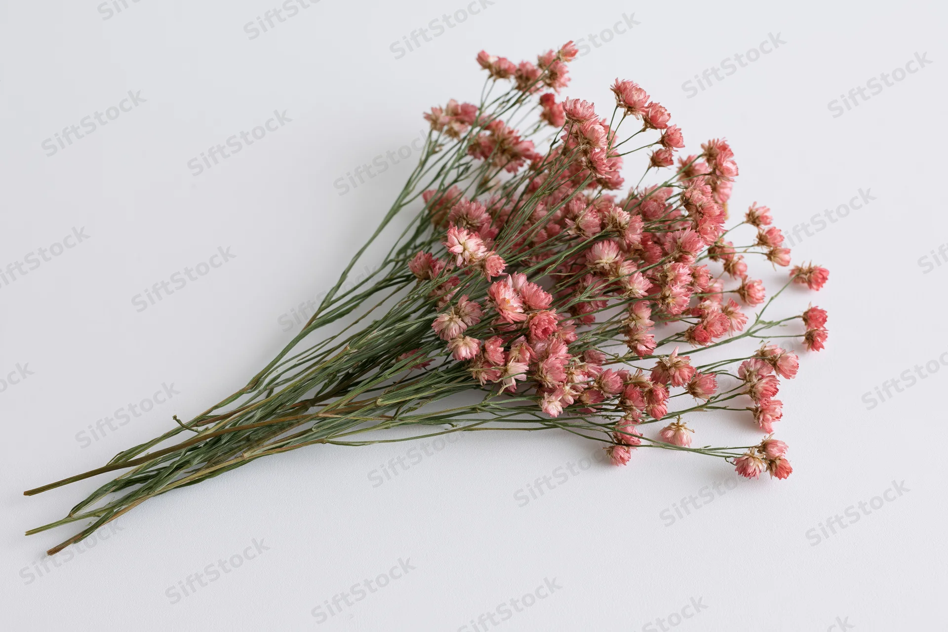 A small dried wildflower bouquet with tiny dusty pink blooms arranged on a white background