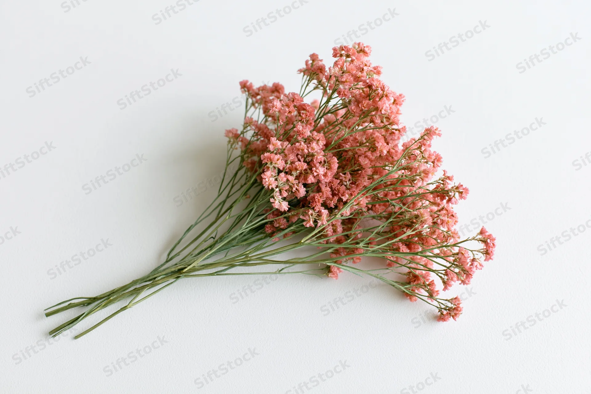 Dried wildflower bouquet with tiny dusty pink blooms arranged flat on white surface