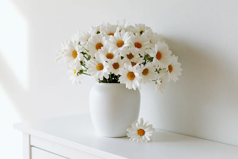 White ceramic vase holding a full bouquet of white daisies on a white cabinet top