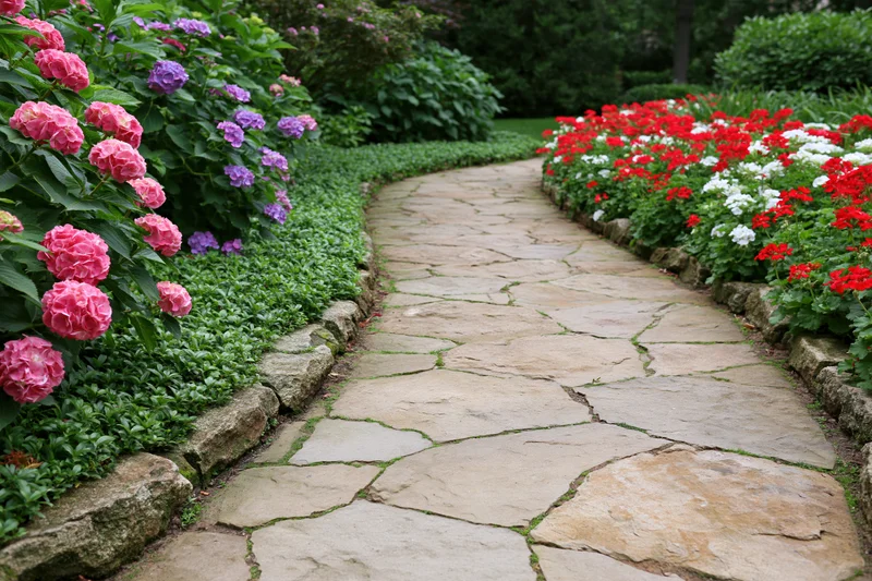 Winding stone paver garden path curving through dense flowering borders with pink hydrangeas and red white blooms