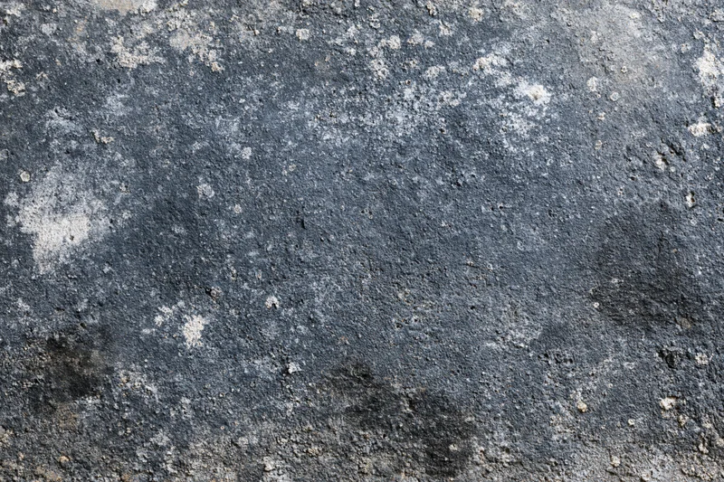 Aged concrete surface with weathered texture and lichen patches, flat view