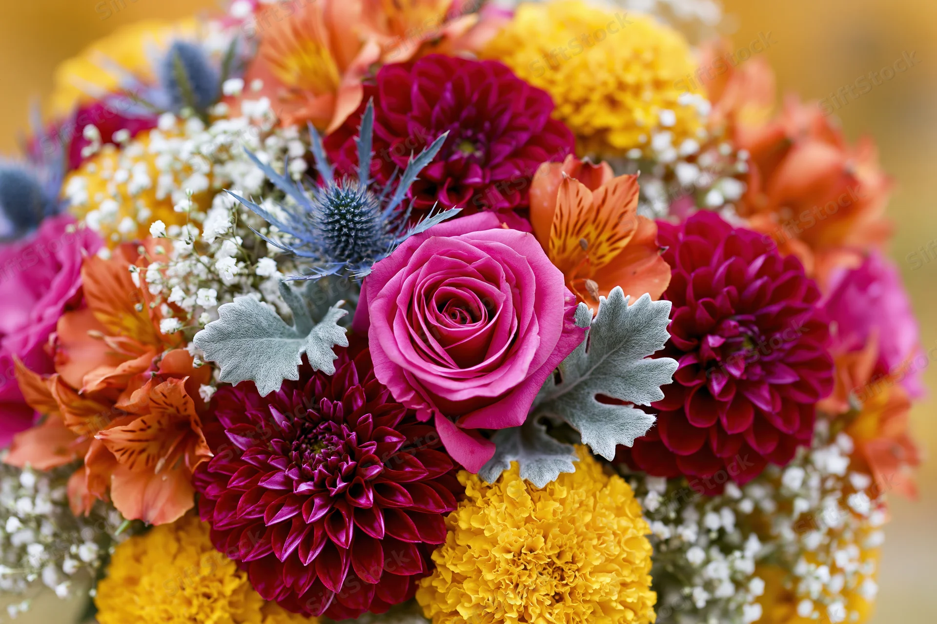 Close-up of a dense mixed flower bouquet with roses, dahlias, alstroemeria, thistle and baby's-breath in vibrant colors