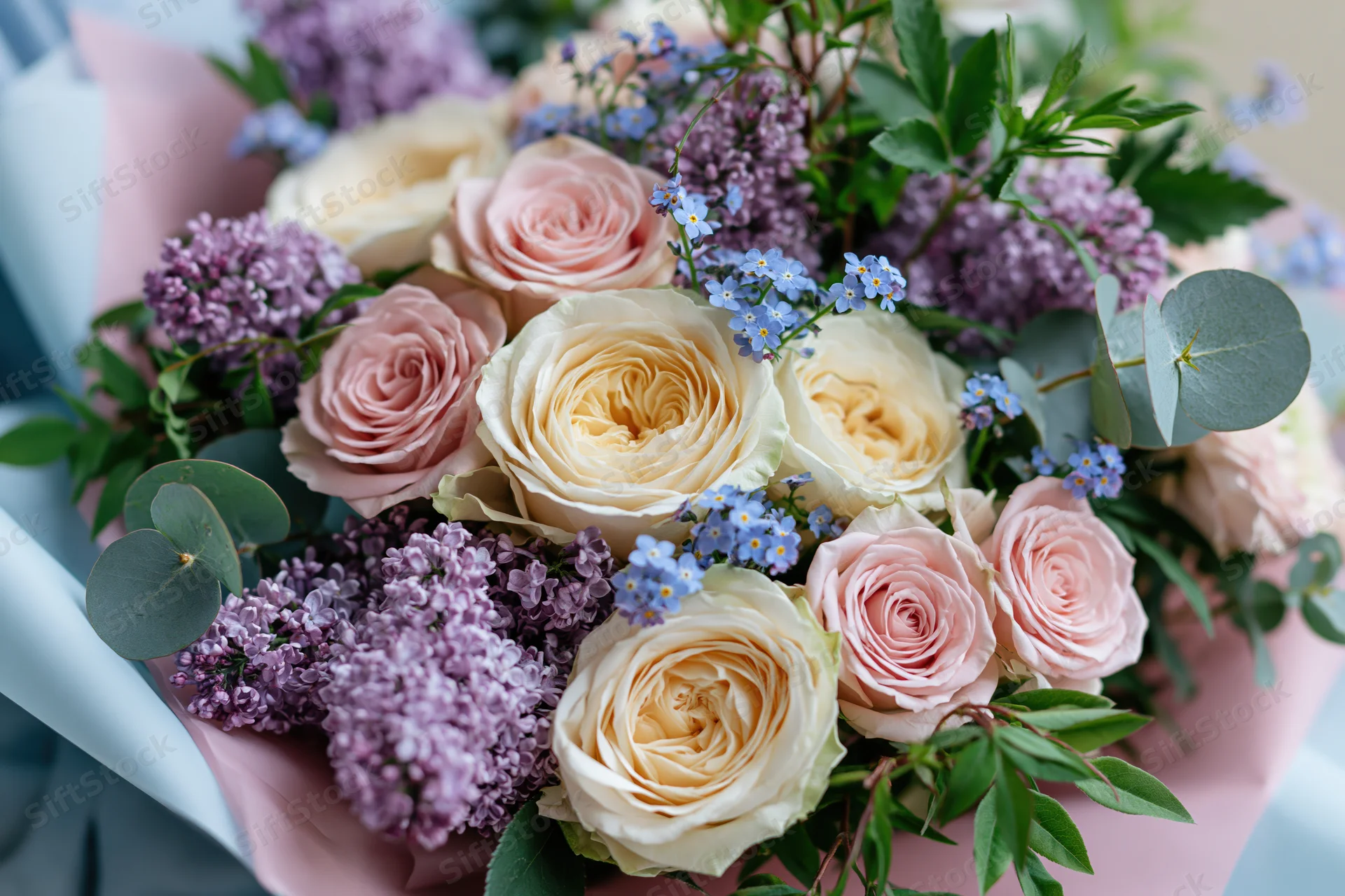 Close-up of a hand-tied bouquet of cream and pink garden roses with lilac and forget-me-nots, wrapped in pink paper