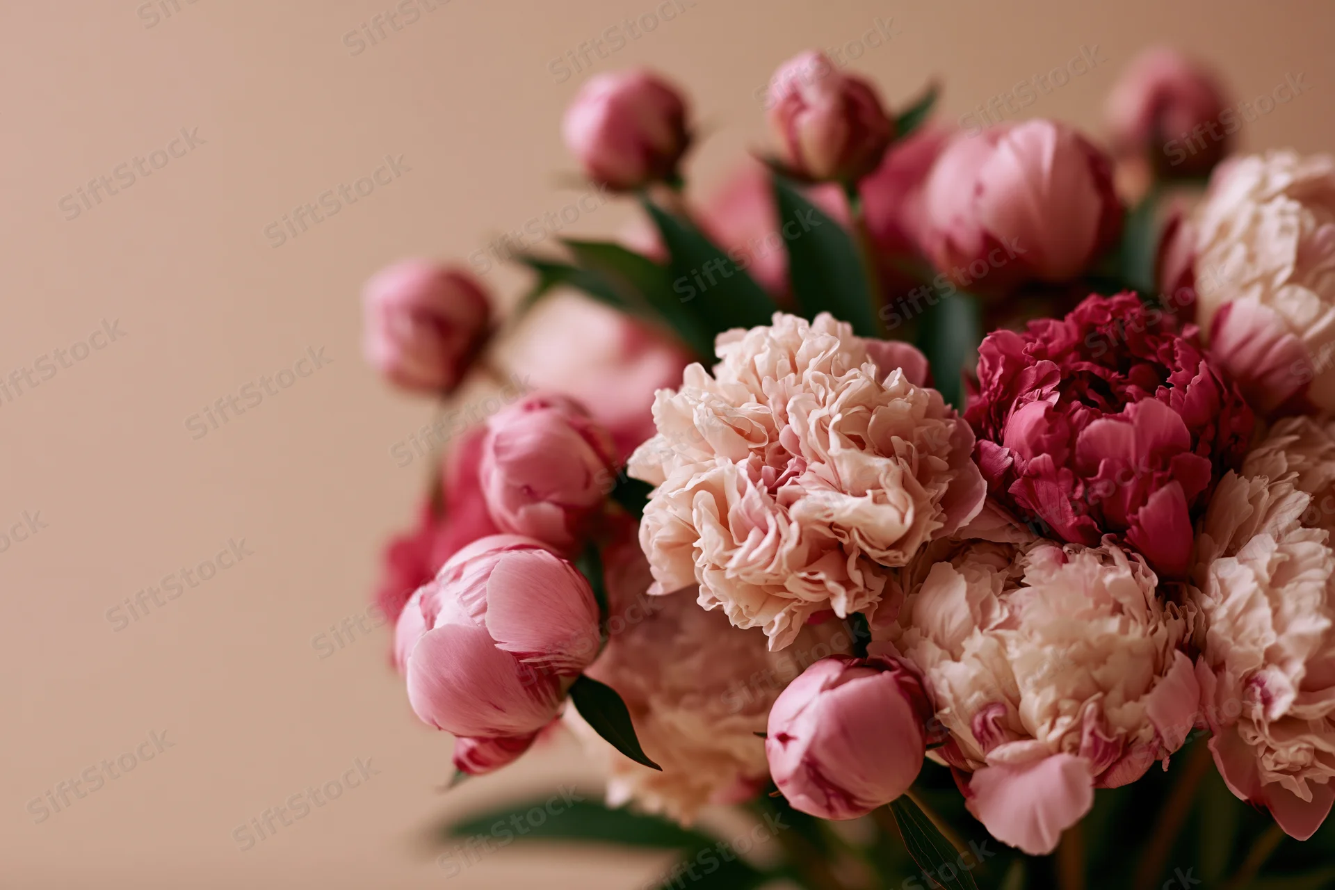 Close-up of a mixed bouquet of pink peonies in various stages of bloom against a neutral background