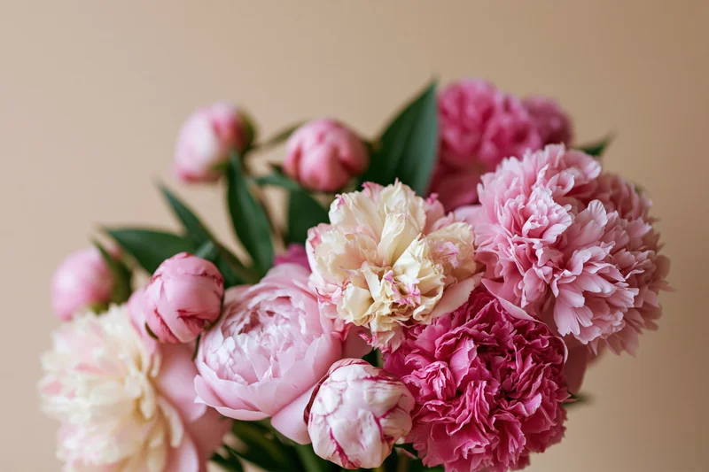 Close-up of a mixed bouquet of pink peonies in various stages of bloom with green stems and leaves against a neutral background