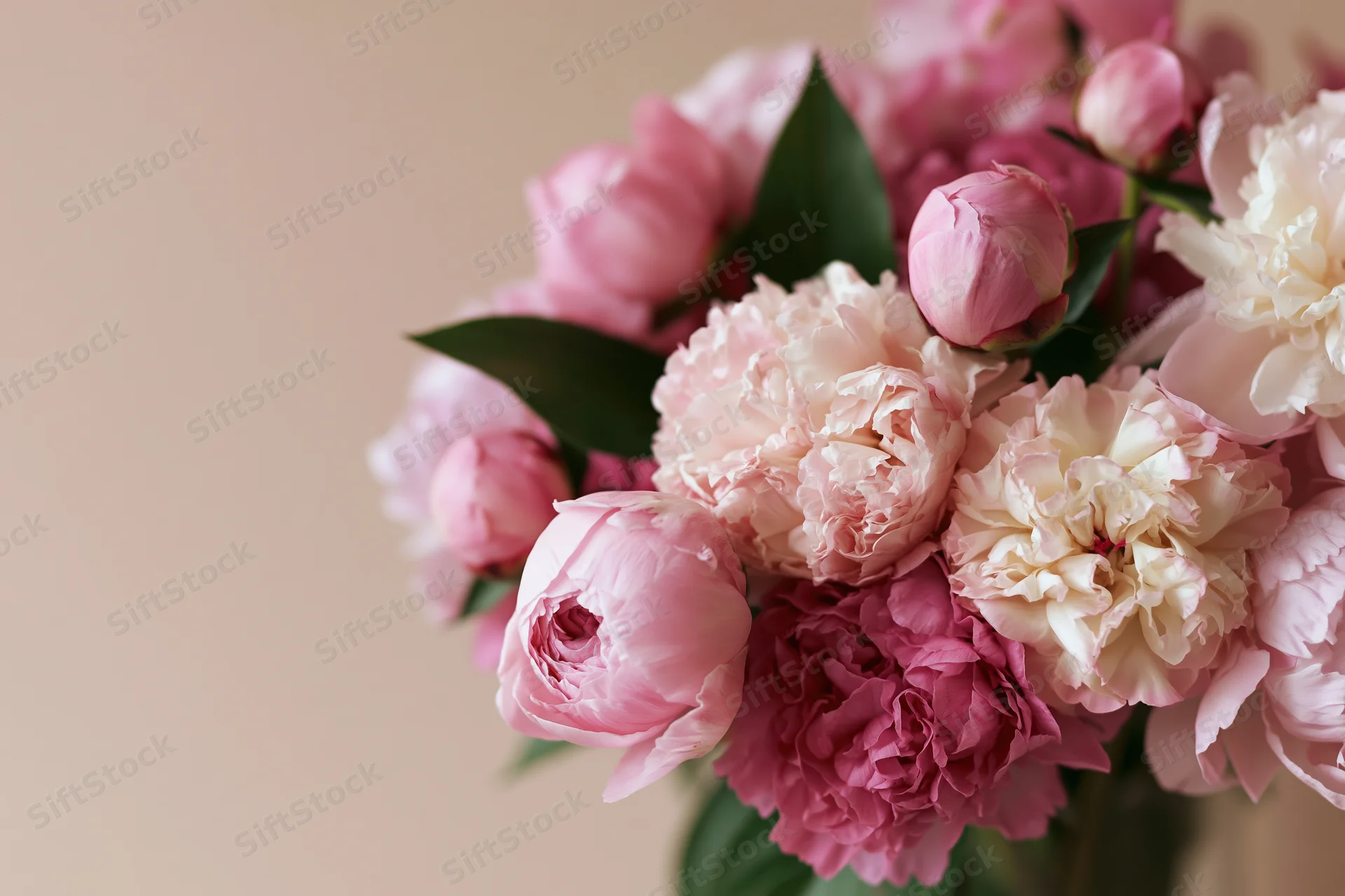Close-up of a mixed bouquet of pink peonies in various stages of bloom with green leaves against a soft beige background