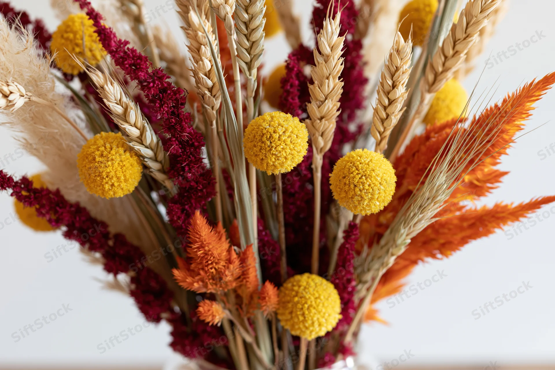 Close-up of a mixed dried flower arrangement with wheat, amaranth, billy balls and pampas grass in a vase