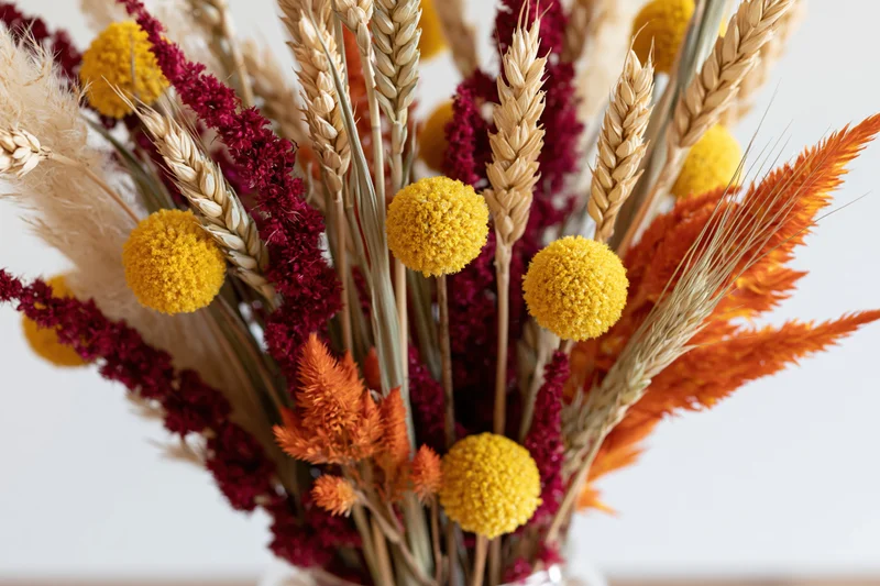 Close-up of a mixed dried flower arrangement with wheat, amaranth, billy balls and pampas grass in a vase