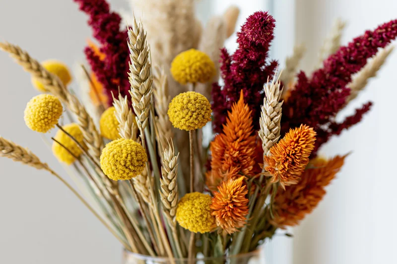 Mixed dried flower arrangement in a glass vase with wheat, yellow craspedia, orange celosia, and burgundy amaranth stems