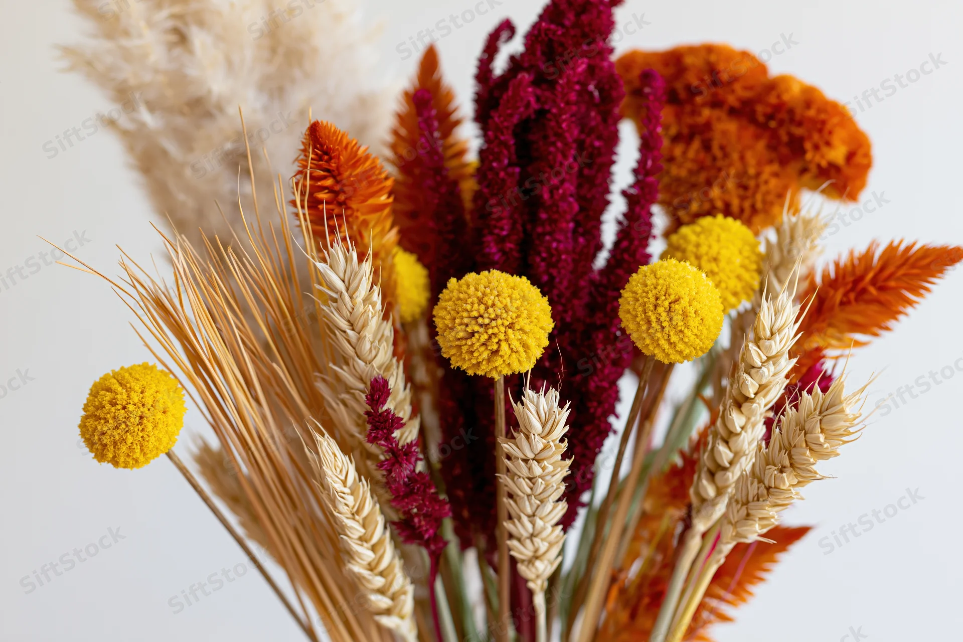 Close-up of a mixed dried flower arrangement with wheat, amaranth, and craspedia in autumnal colors against a white background