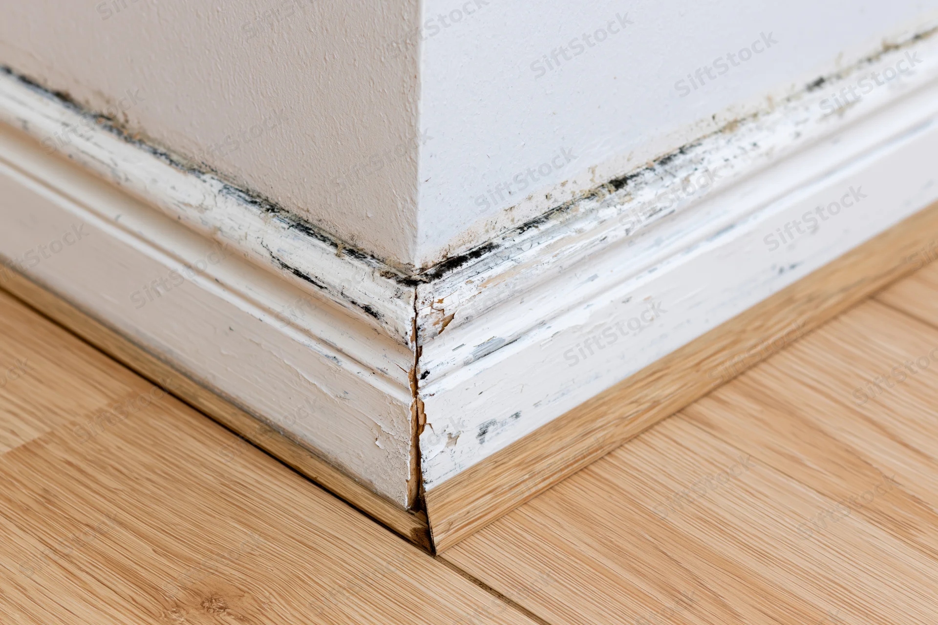 Damaged white skirting board at room corner with mold and cracks near bamboo flooring