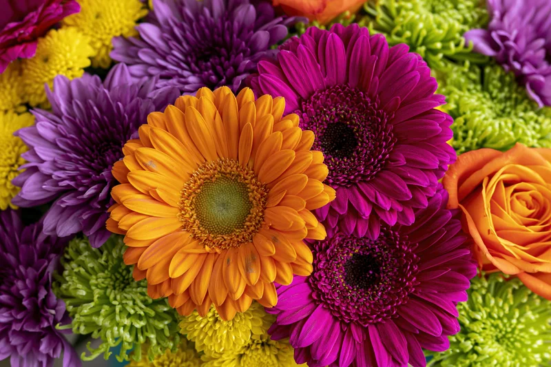 Close-up overhead view of a colorful mixed flower bouquet with gerbera daisies, roses, and chrysanthemums arranged together