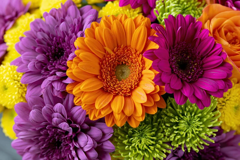 Close-up overhead view of a vibrant mixed flower bouquet with orange, purple, yellow and green blooms arranged together