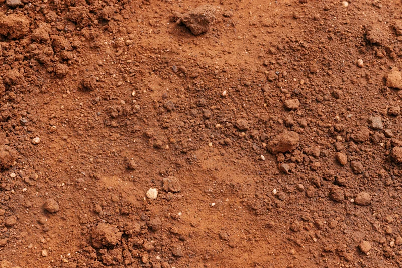 Dry red clay soil surface with scattered particles and small clumps, overhead view