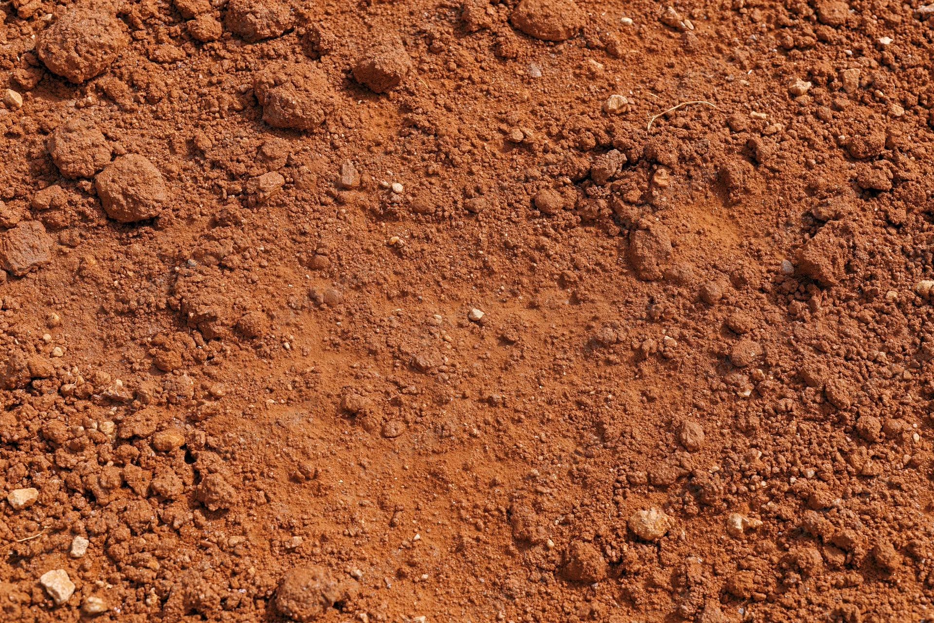 Dry red clay soil surface with scattered clods and particles viewed from above