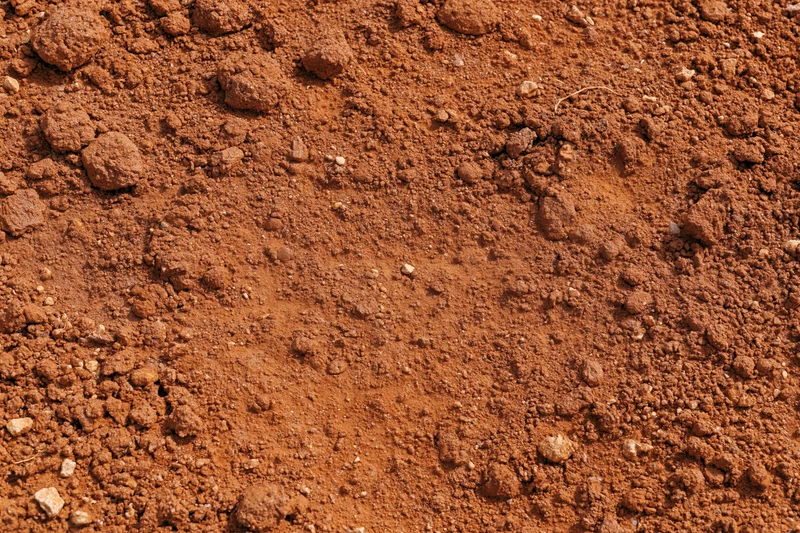 Dry red clay soil surface with scattered clods and particles viewed from above