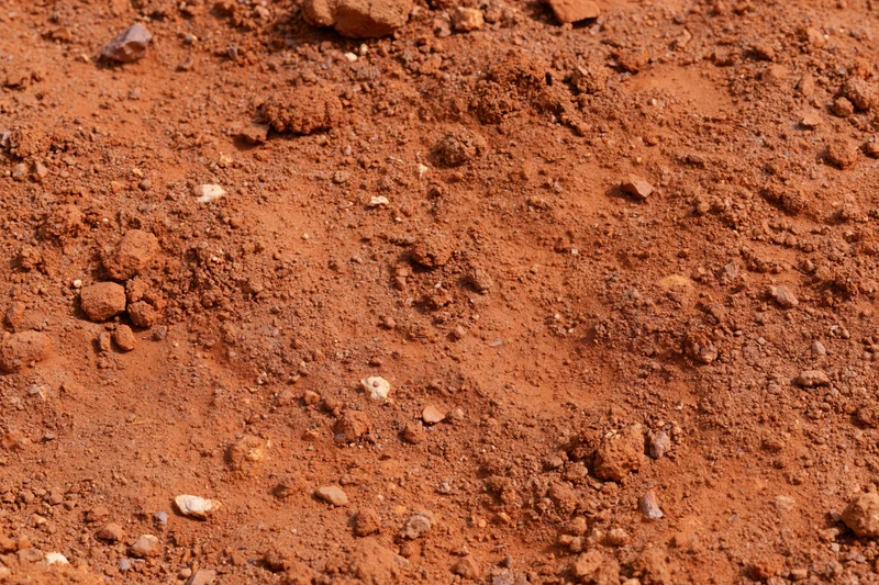 Dry red clay soil surface scattered with small stones and particles under natural light