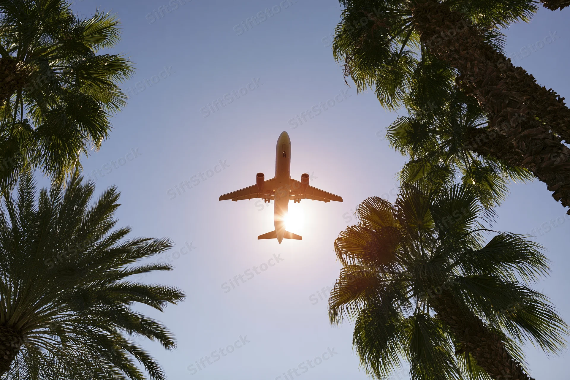 Commercial airplane flying overhead seen from below between palm trees under bright sun