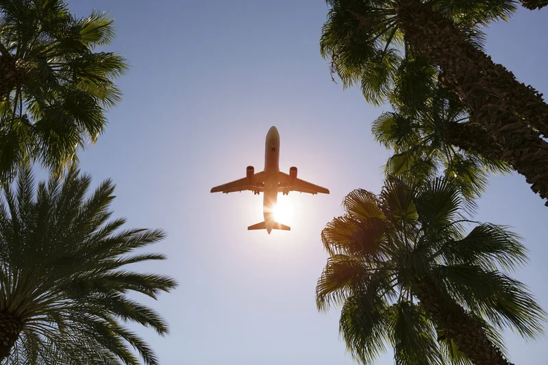 Commercial airplane flying overhead seen from below between palm trees under bright sun