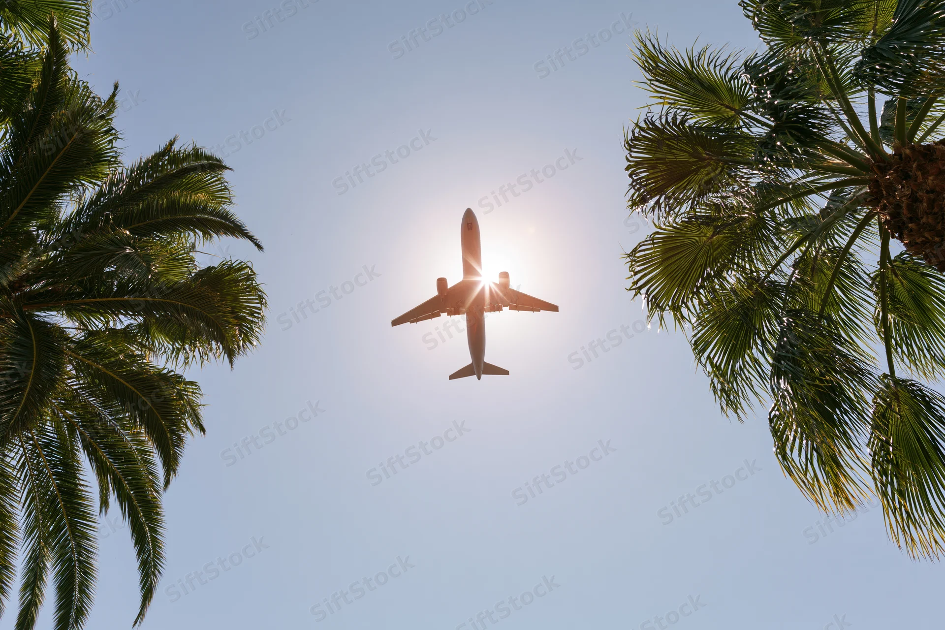 Commercial airplane flying overhead seen from below between palm trees on a sunny day
