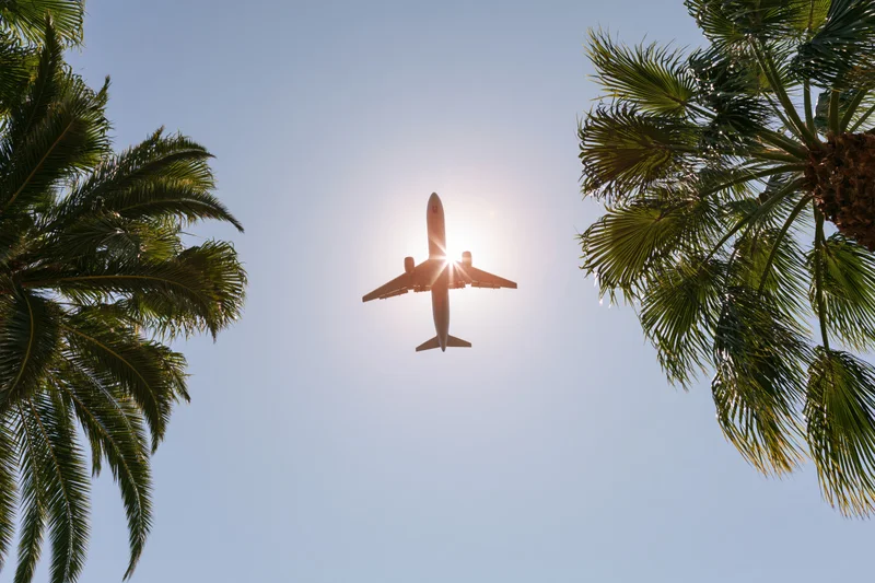 Commercial airplane flying overhead seen from below between palm trees on a sunny day
