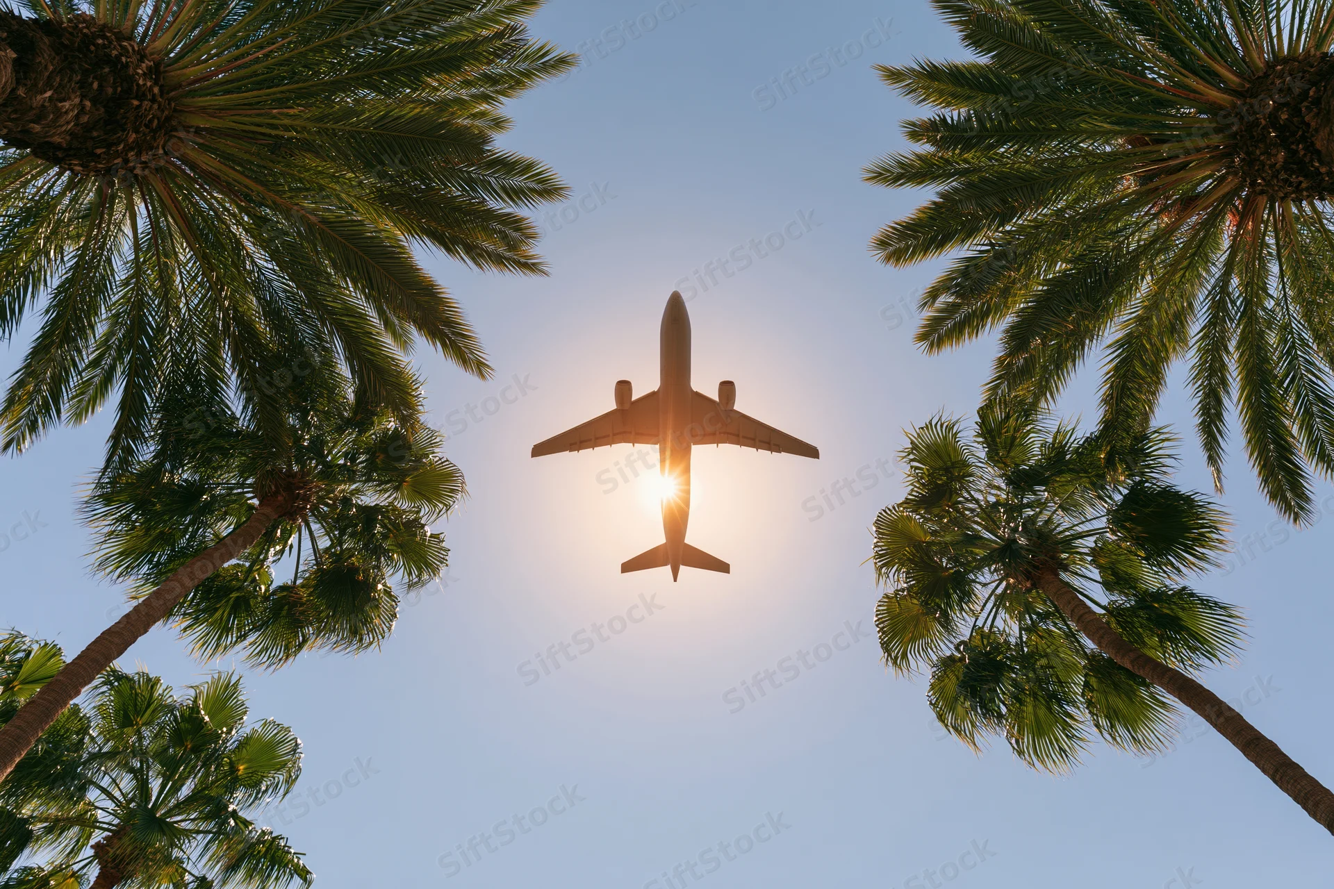 Commercial airplane flying overhead seen from below between palm trees against sunlit sky