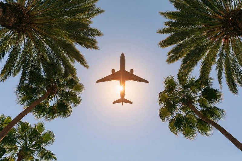 Commercial airplane flying overhead seen from below between palm trees against sunlit sky