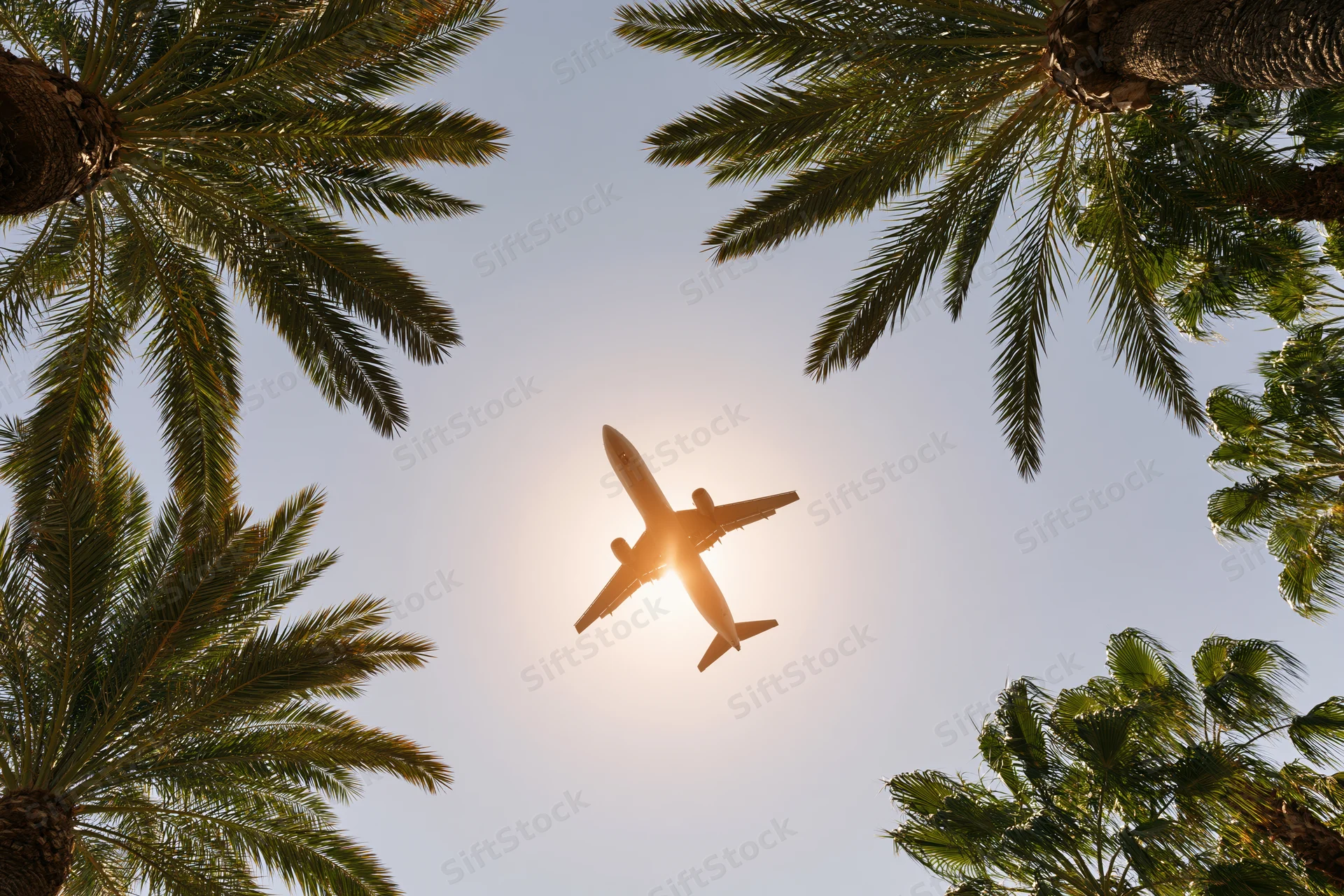 Commercial airplane flying overhead seen from below through palm trees