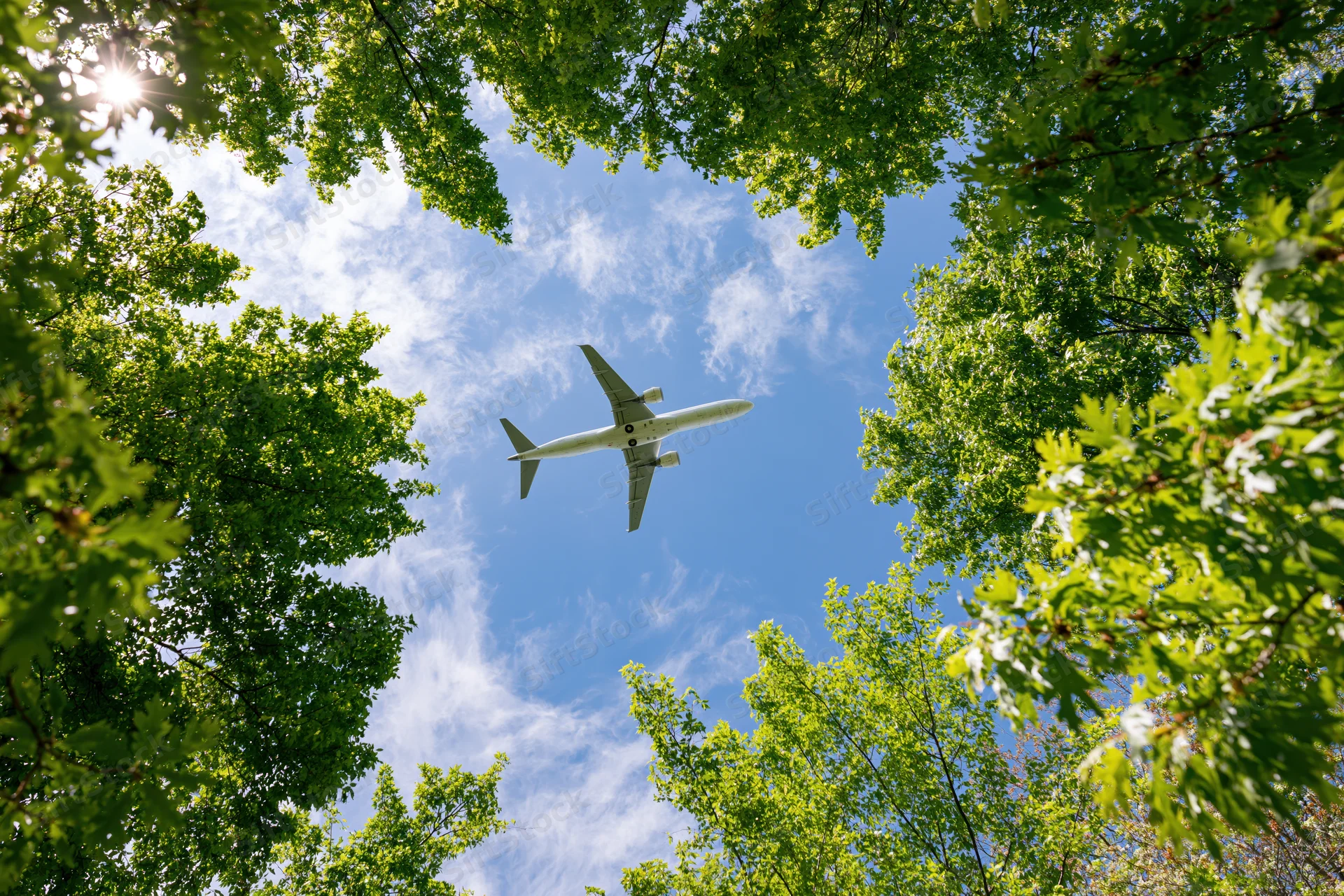 Commercial passenger jet flying overhead viewed from below through green tree canopy