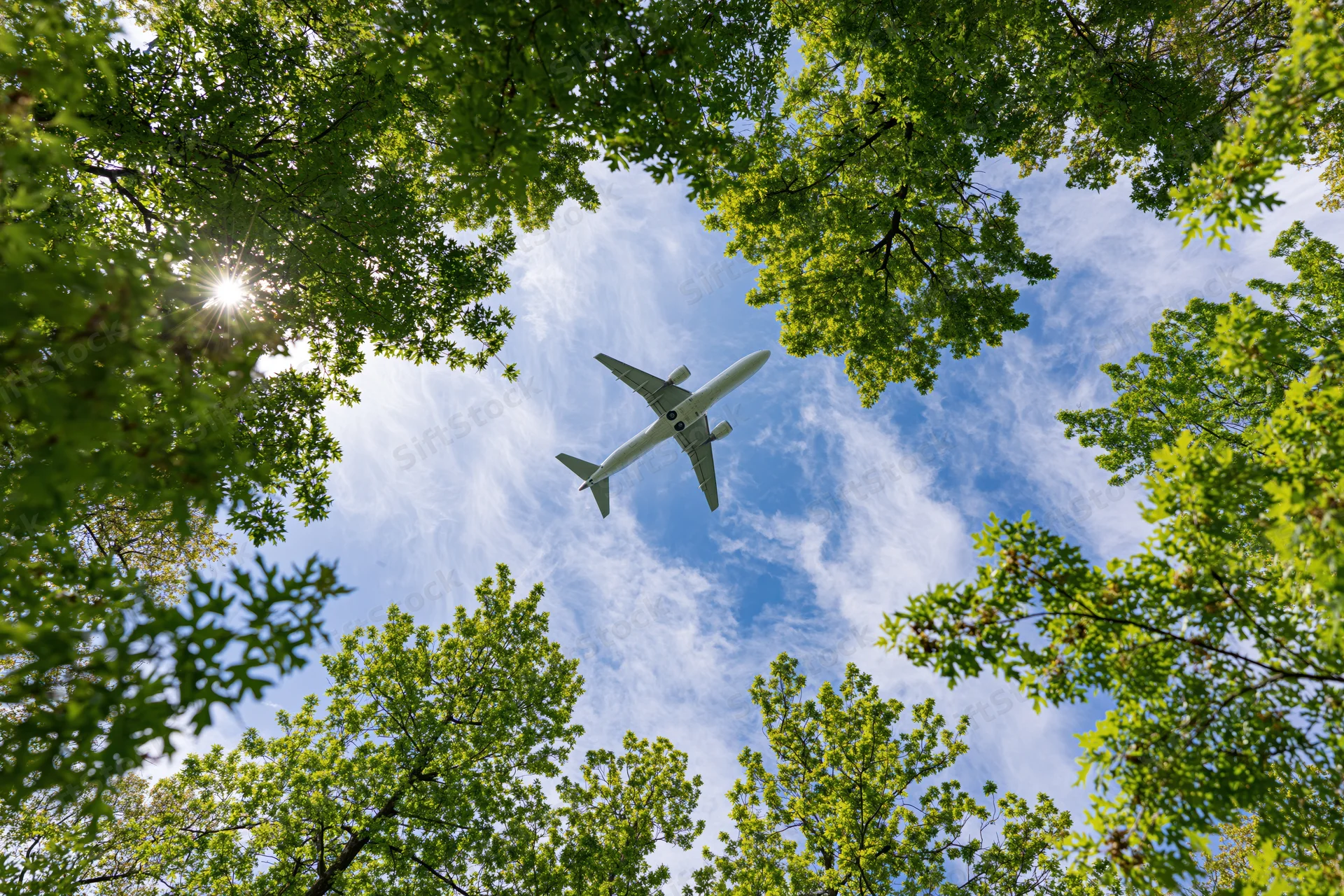 Commercial passenger jet flying overhead viewed from below through tree canopy