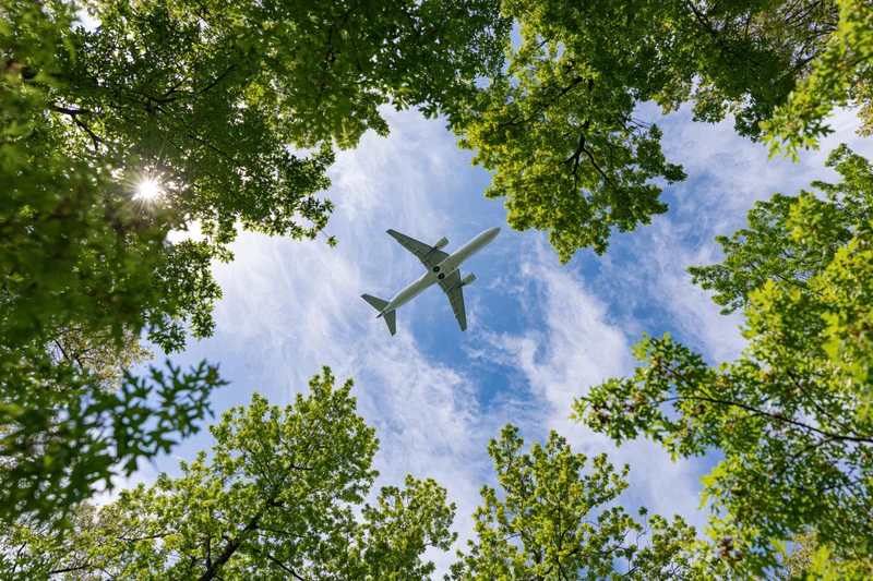 Commercial passenger jet flying overhead viewed from below through tree canopy