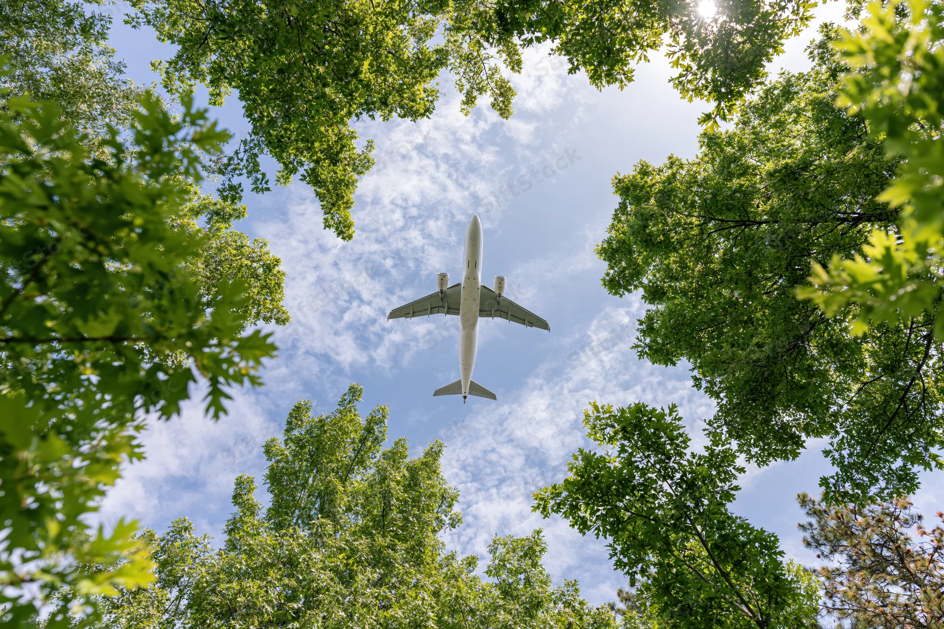 Commercial passenger jet flying overhead viewed through green tree canopy from below