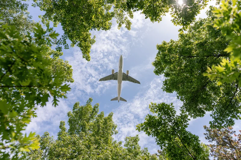 Commercial passenger jet flying overhead viewed through green tree canopy from below