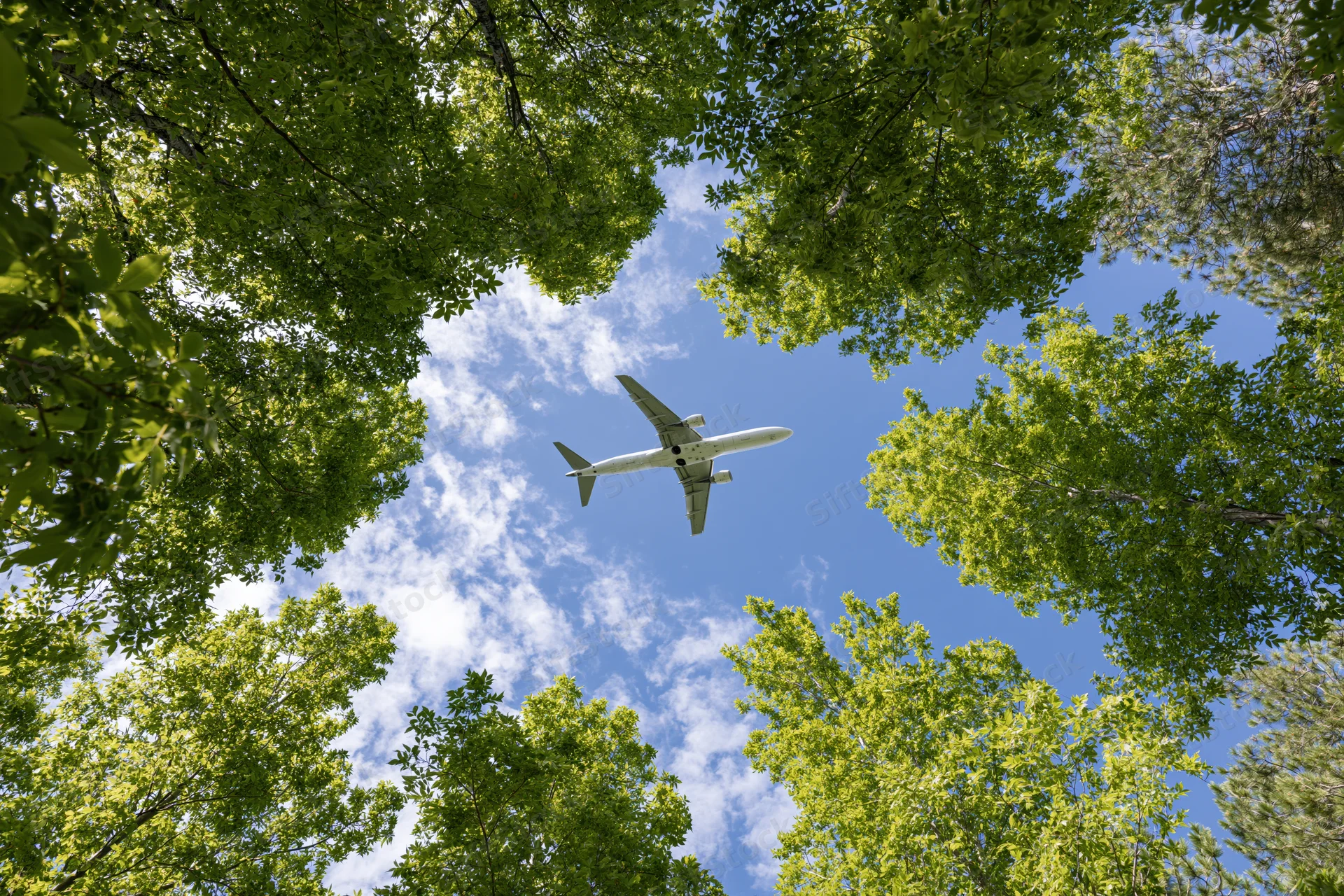 Commercial passenger jet flying overhead viewed from below through tree canopy
