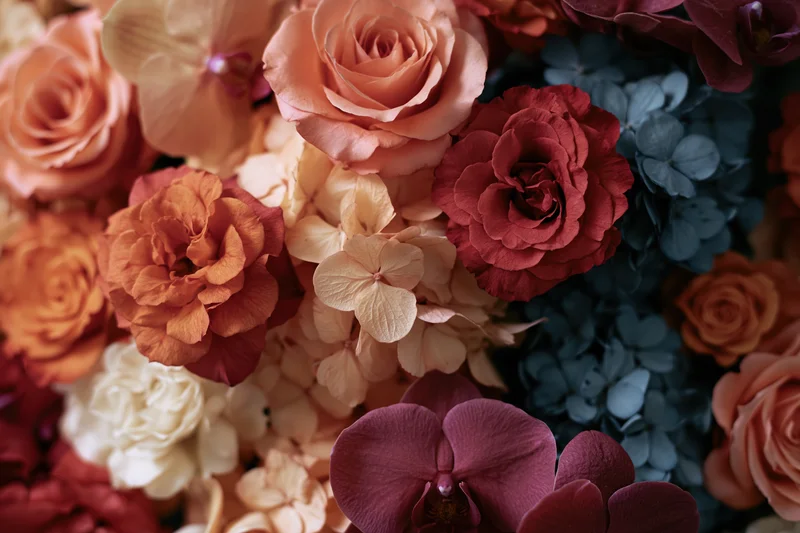 Dense arrangement of mixed roses hydrangeas and orchids in warm and cool tones